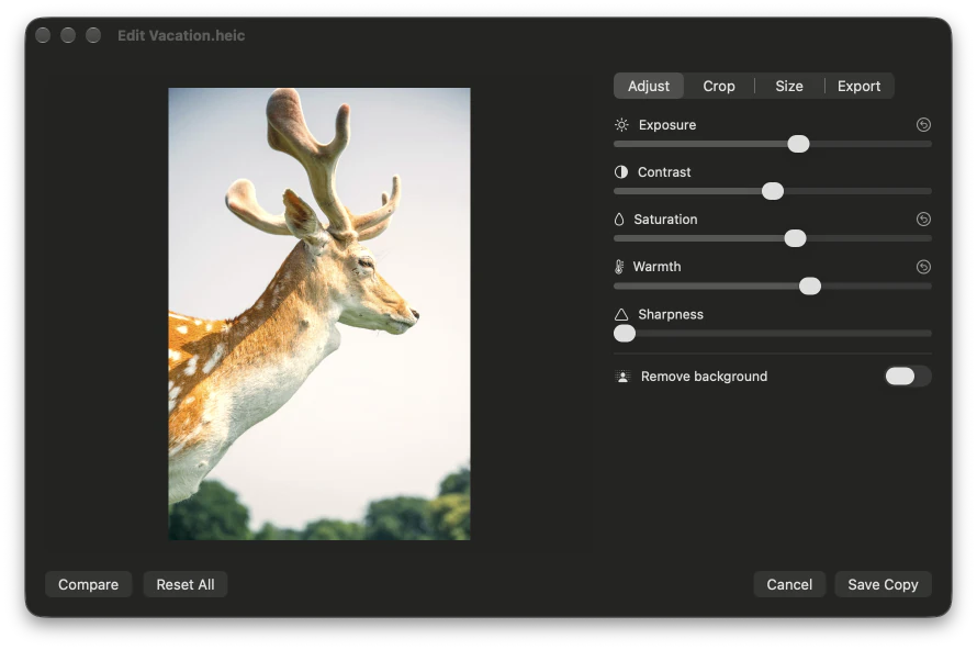 The photo editor’s Adjust tab, with exposure, saturation and warmth raised