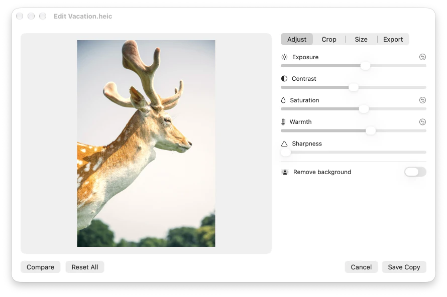 The photo editor’s Adjust tab, with exposure, saturation and warmth raised