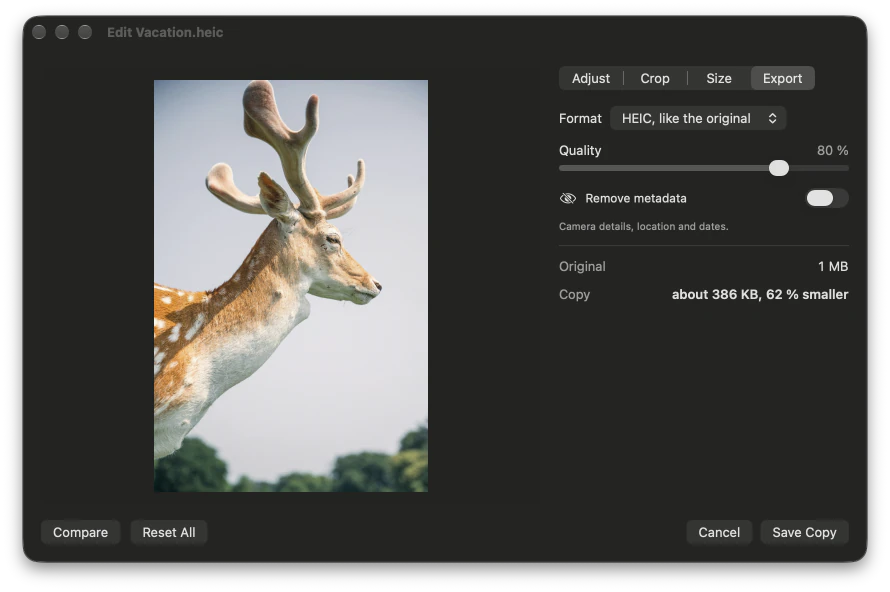 The photo editor’s Export tab, estimating the copy at about 386 KB, 62 % smaller