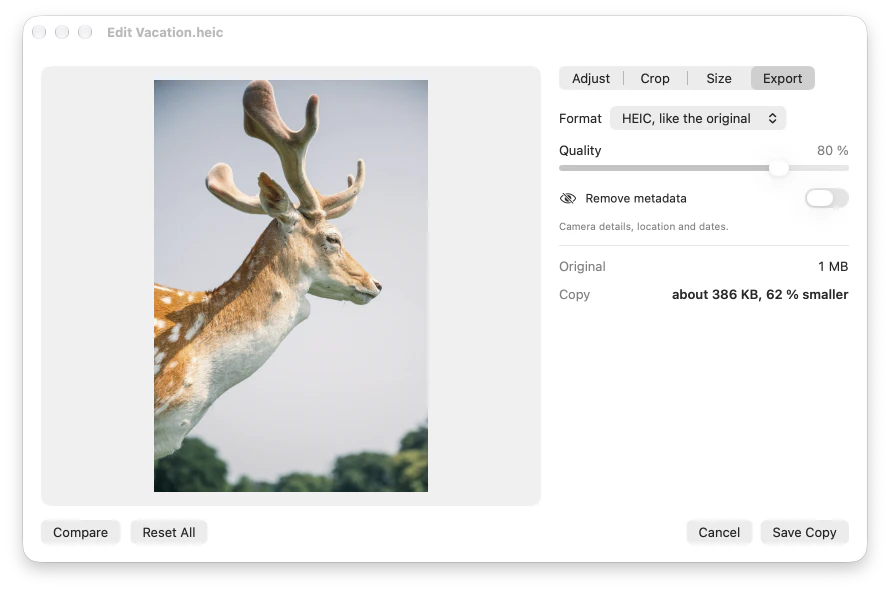 The photo editor’s Export tab, estimating the copy at about 386 KB, 62 % smaller