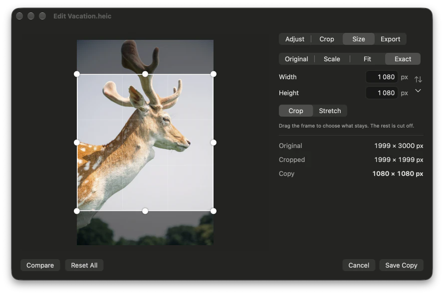 The photo editor’s Size tab: an exact 1080 × 1080 size, with the crop frame on the photo