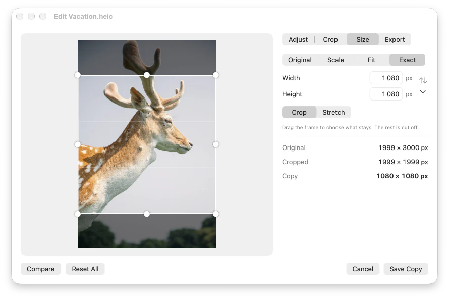 The photo editor’s Size tab: an exact 1080 × 1080 size, with the crop frame on the photo